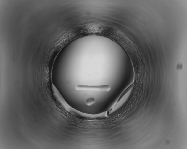X0000098130556200805011323