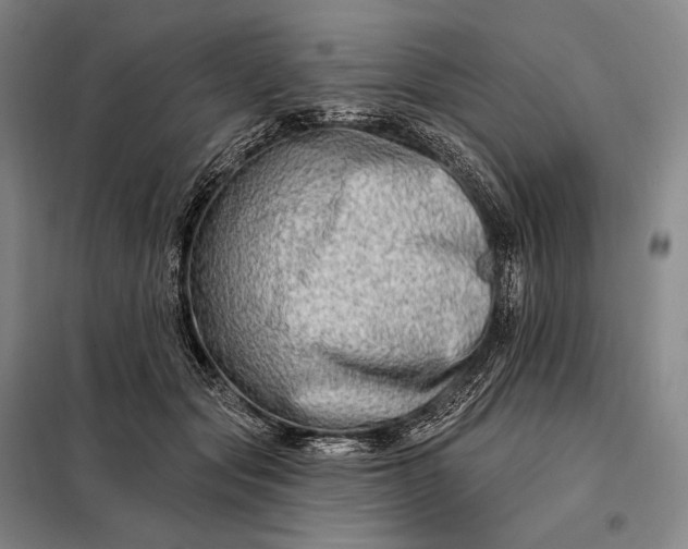 X0000098130557200805011323