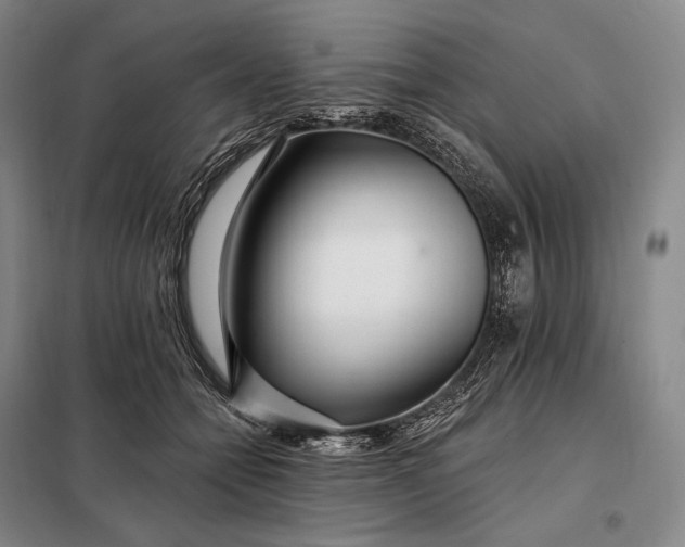 X0000098130558200805011323