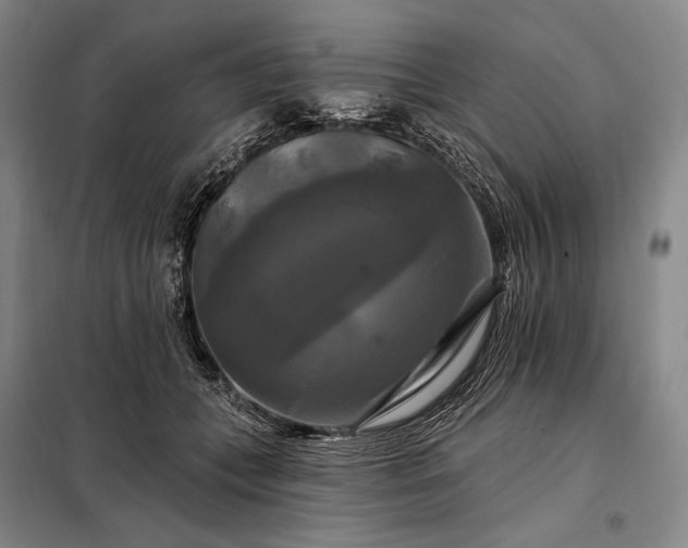 X0000098130559200805011323