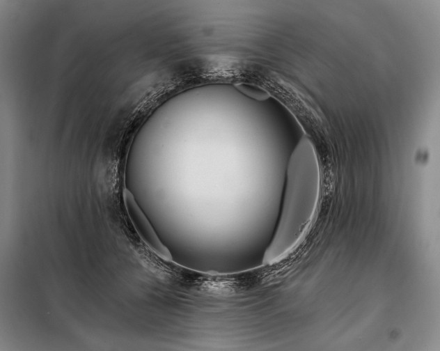 X0000098130560200805011323