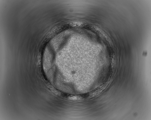 X0000098130561200805011323