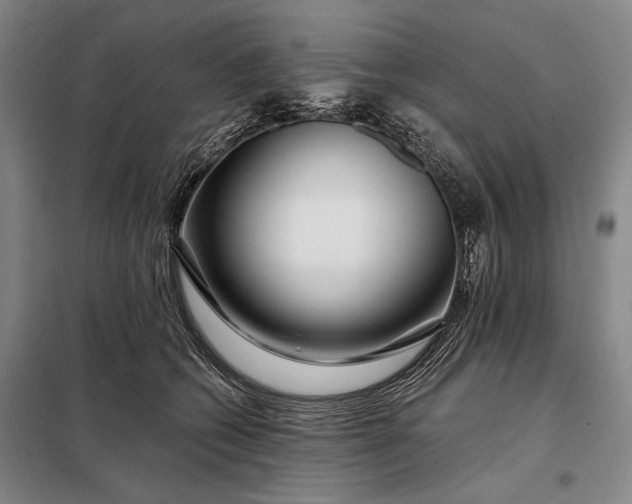 X0000098130562200805011323
