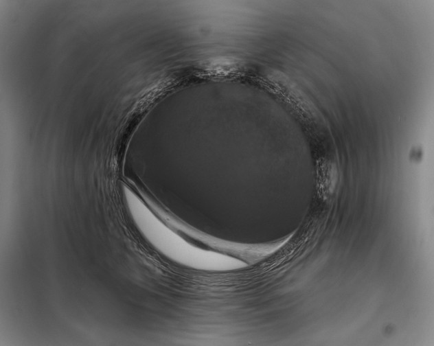 X0000098130563200805011324