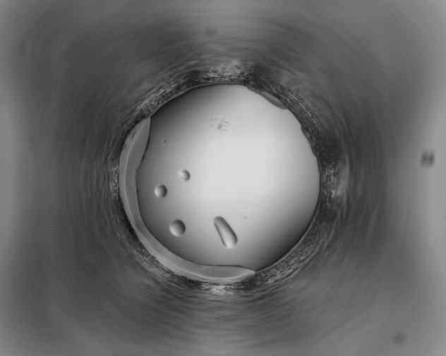 X0000098130564200805011324
