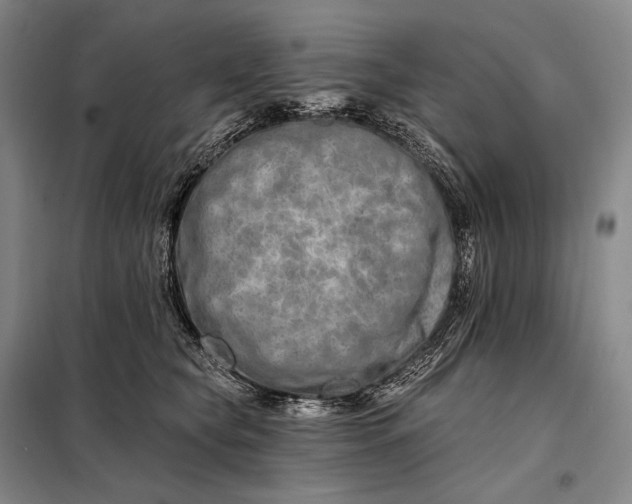 X0000098130565200805011324