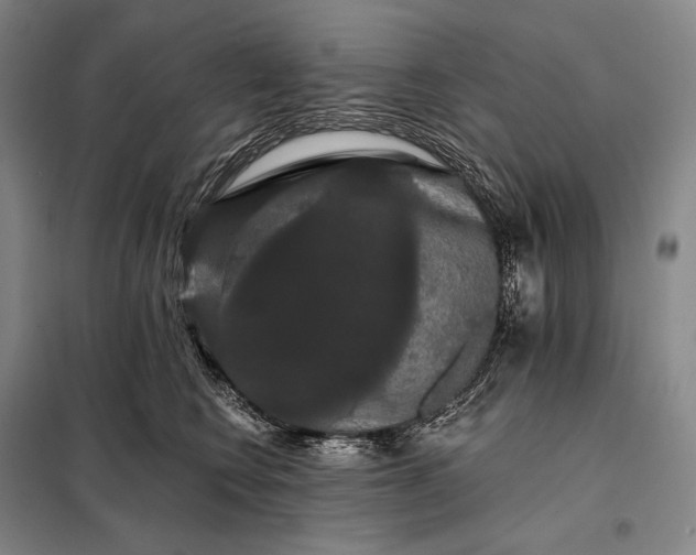 X0000098130566200805011324