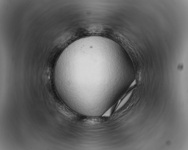 X0000098130567200805011324