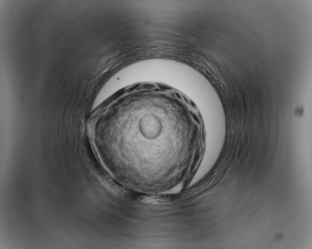 X0000098130568200805011324