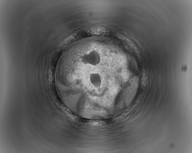 X0000098130569200805011324