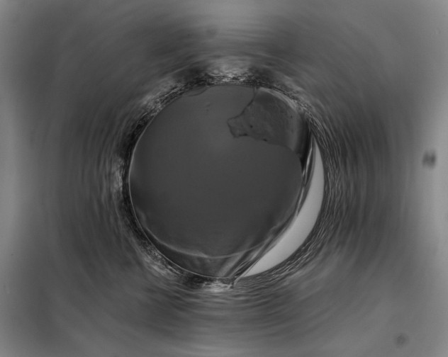 X0000098130570200805011324