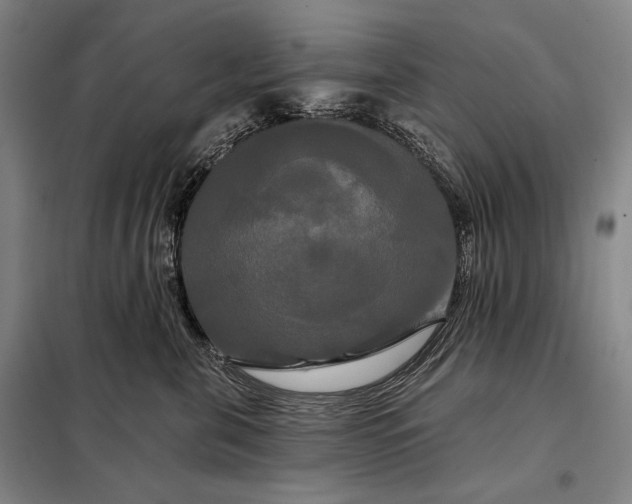X0000098130571200805011324