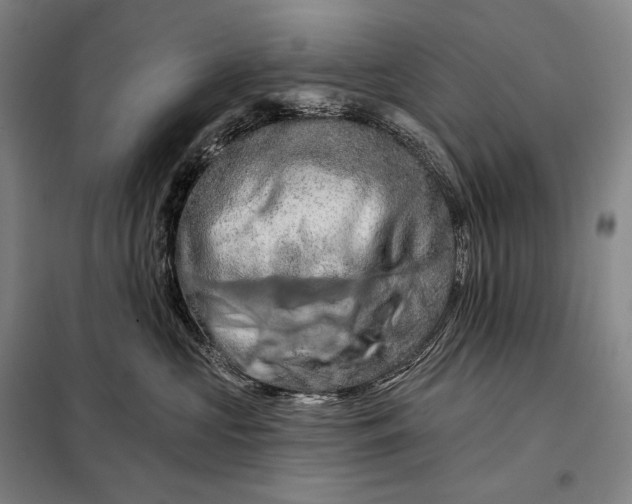 X0000098130573200805011324