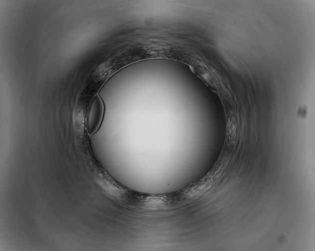 X0000098130574200805011324
