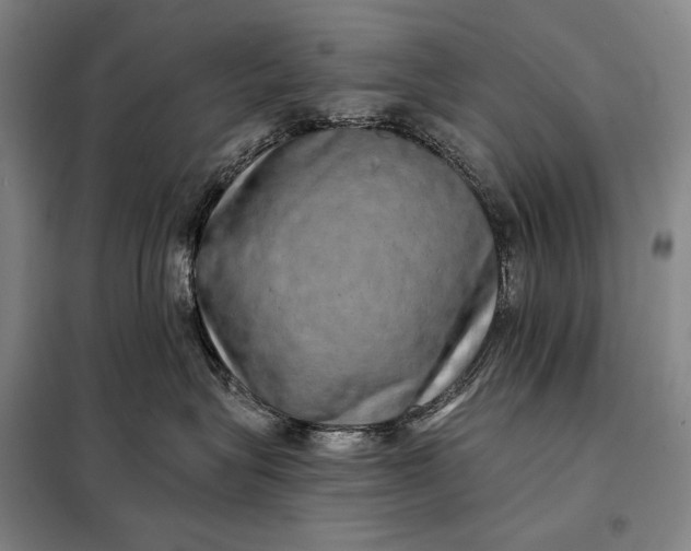 X0000098130575200805011324