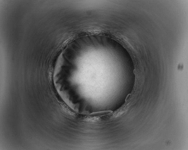 X0000098130576200805011324