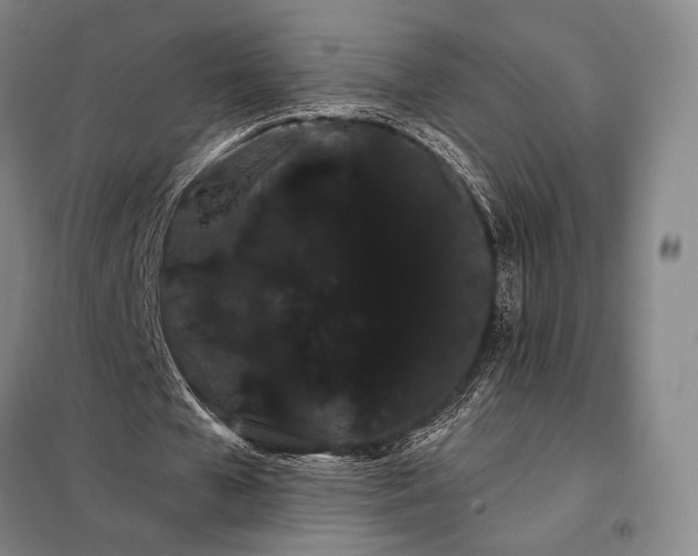 X0000098130577200805011323