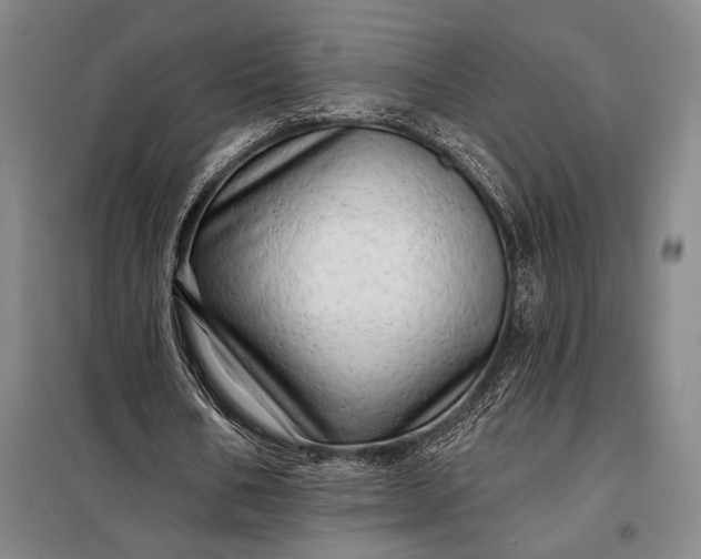 X0000098130578200805011323