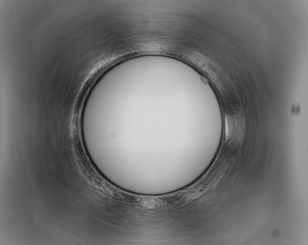 X0000098130579200805011323