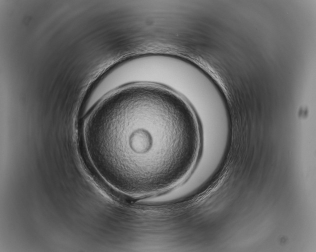 X0000098130581200805011323