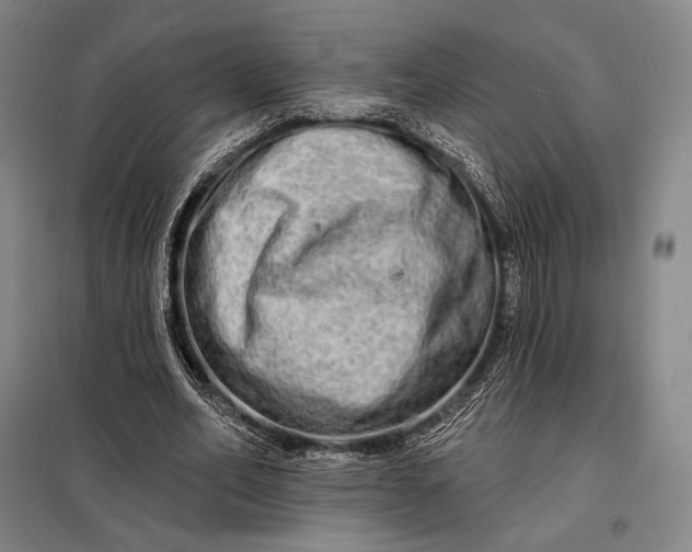 X0000098130582200805011323