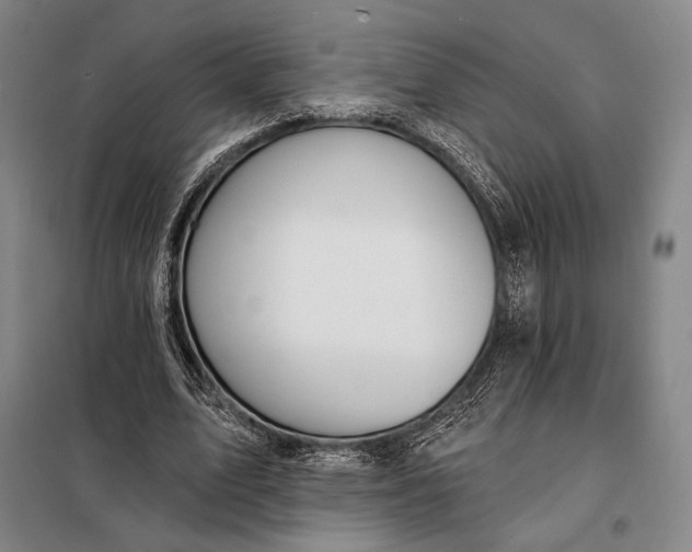 X0000098130583200805011323