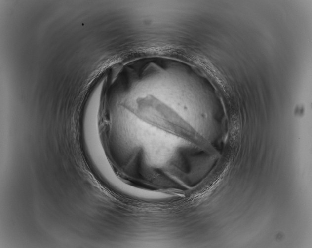 X0000098130585200805011323