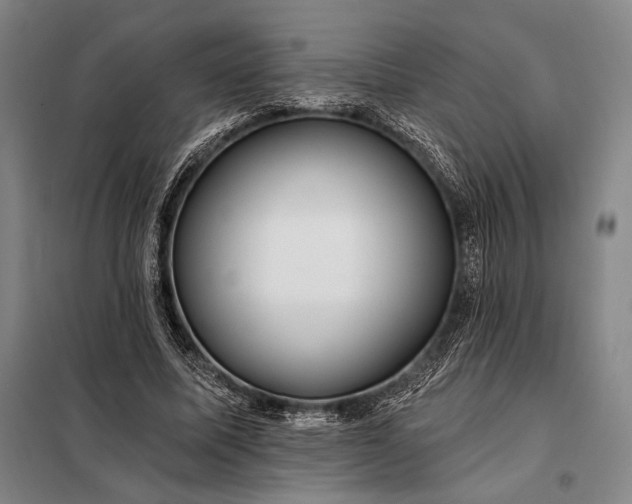 X0000098130587200805011323