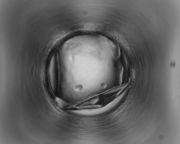 X0000098130588200805011323