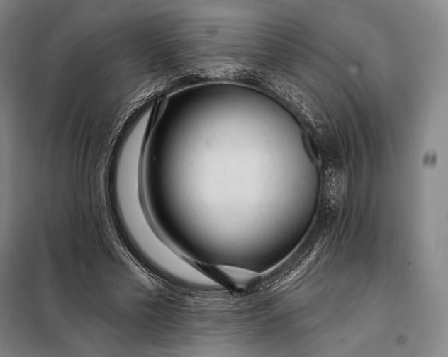 X0000098130589200805011323