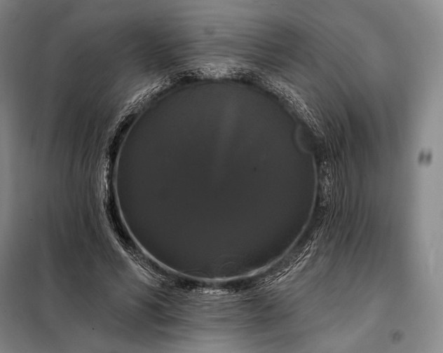 X0000098130590200805011323