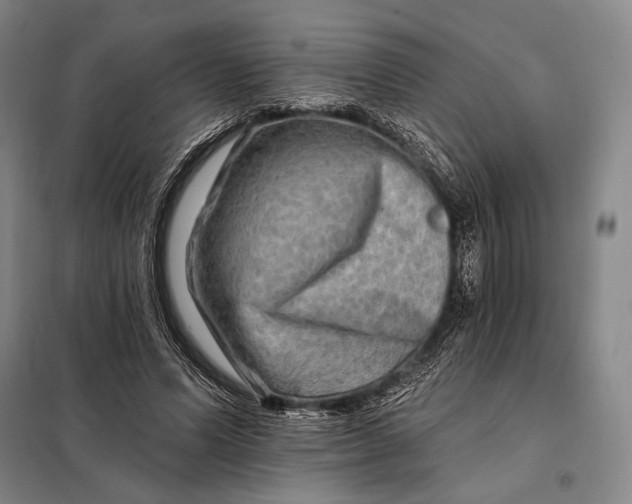 X0000098130591200805011323