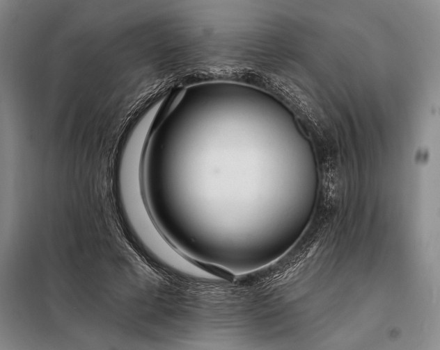 X0000098130593200805011323