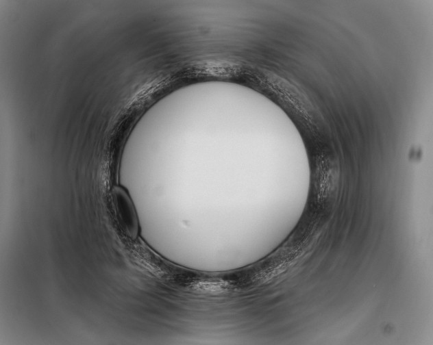 X0000098130595200805011323