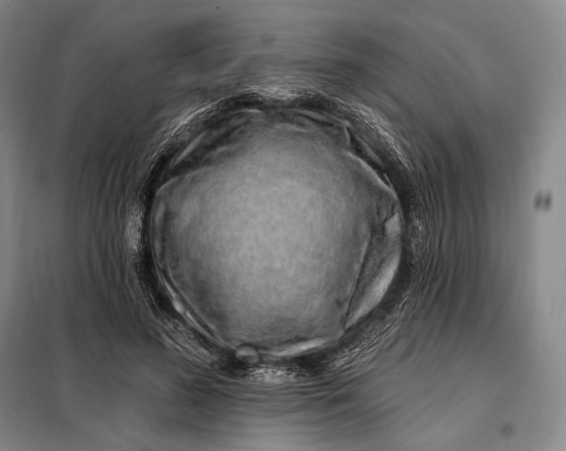 X0000098130596200805011323