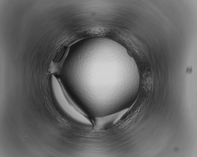 X0000098130597200805011323