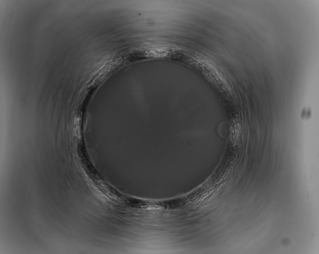 X0000098130598200805011323