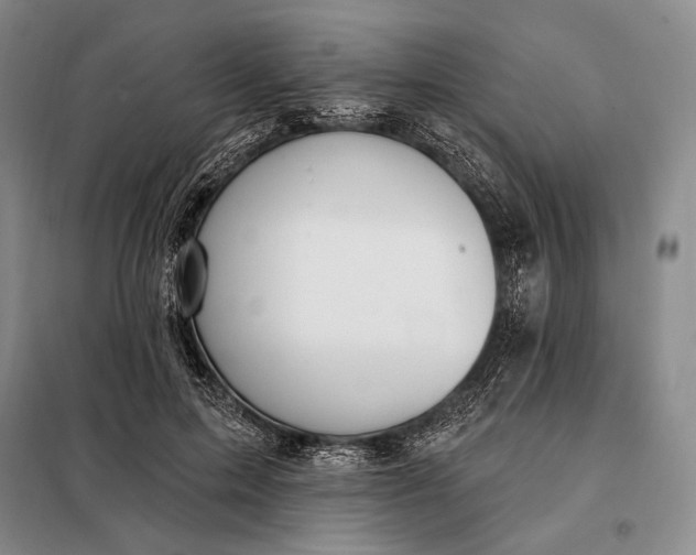 X0000098130599200805011323