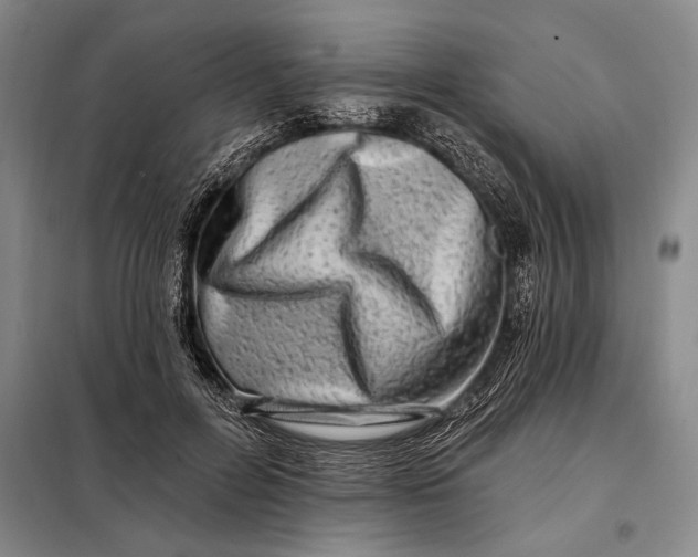 X0000098130600200805011323