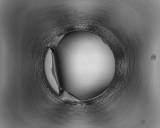 X0000098130601200805011323