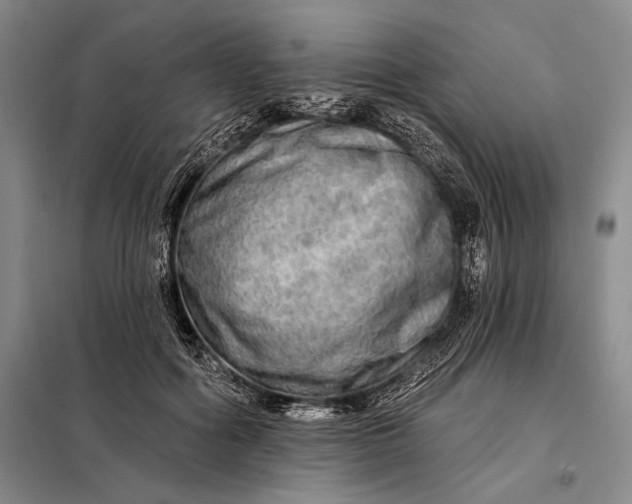 X0000098130602200805011323