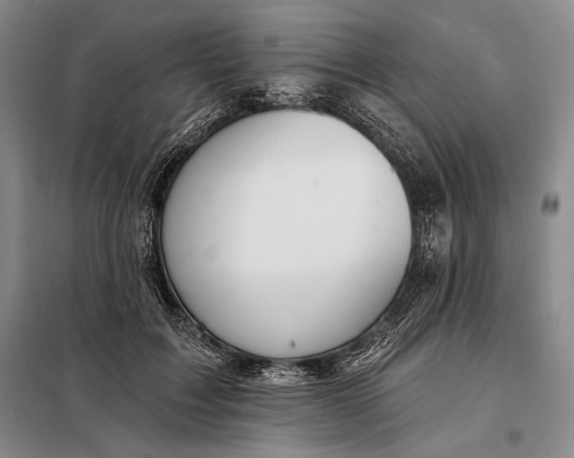 X0000098130603200805011323