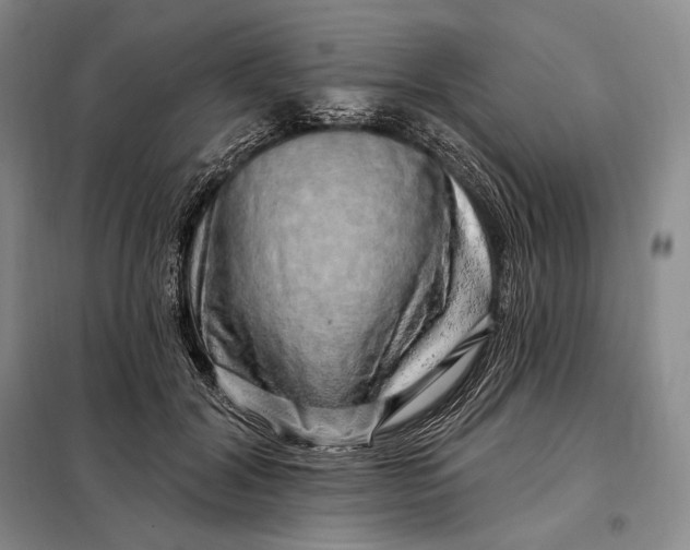 X0000098130604200805011323