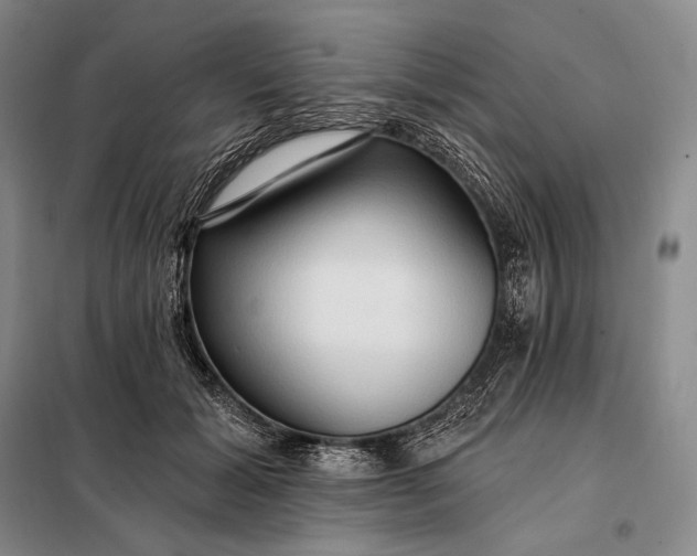 X0000098130605200805011323