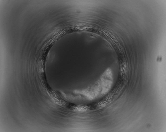 X0000098130606200805011323
