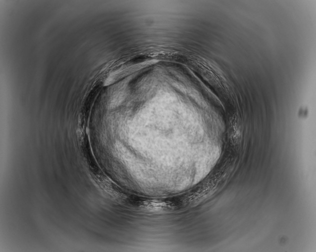 X0000098130607200805011323