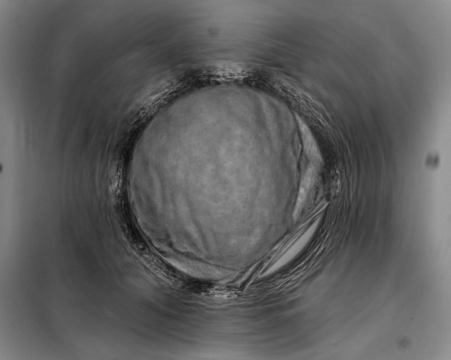 X0000098130608200805011323
