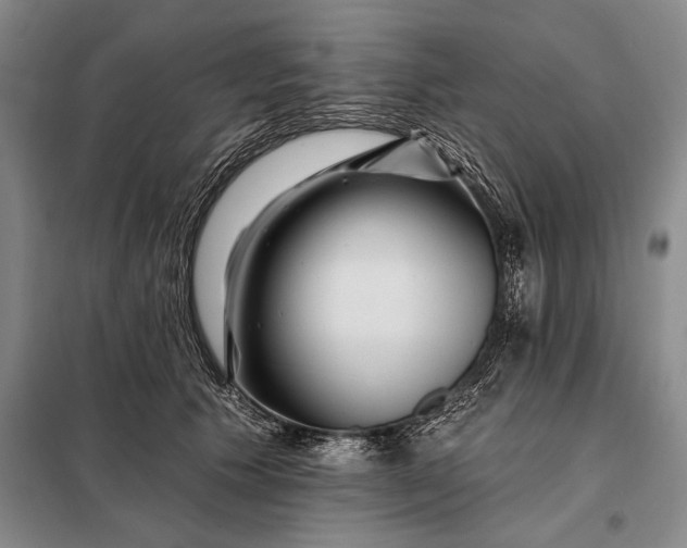 X0000098130609200805011323