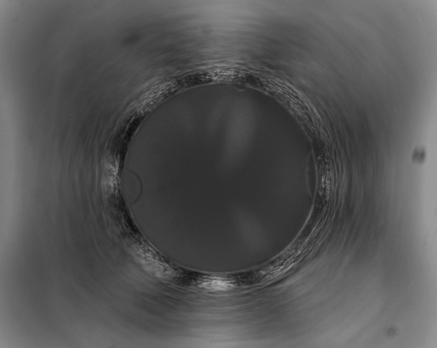 X0000098130610200805011323