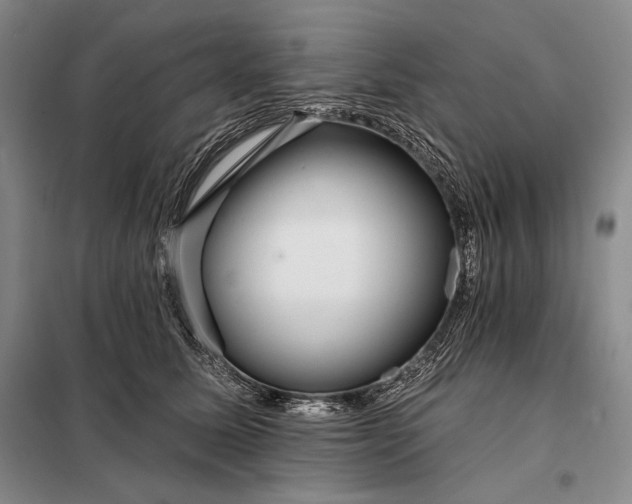 X0000098130611200805011323